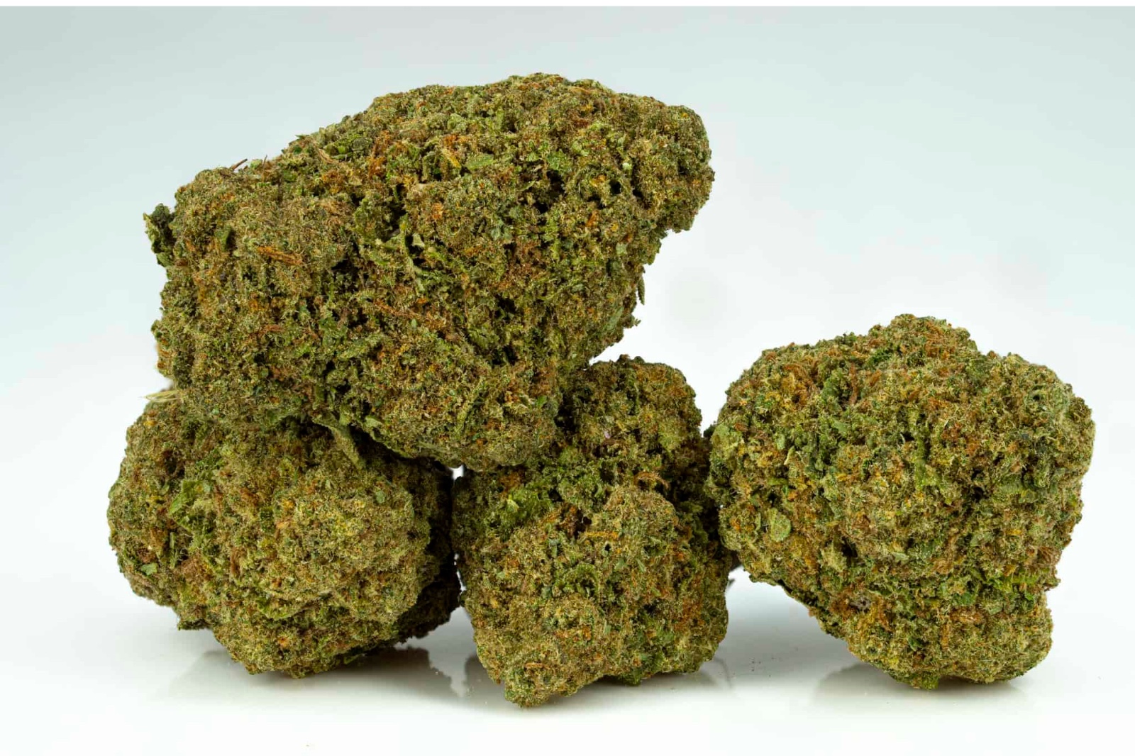 Critical Berry Indoor USA